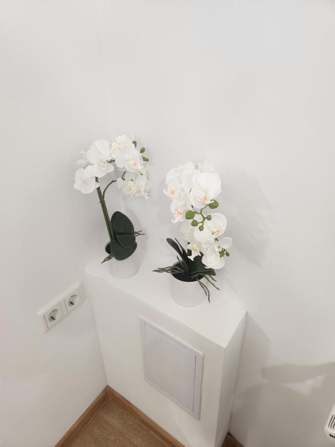 Apartman Zagreb Cca 42M2 With Free Parking Exterior foto